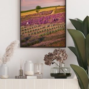 usługi dronem krakow